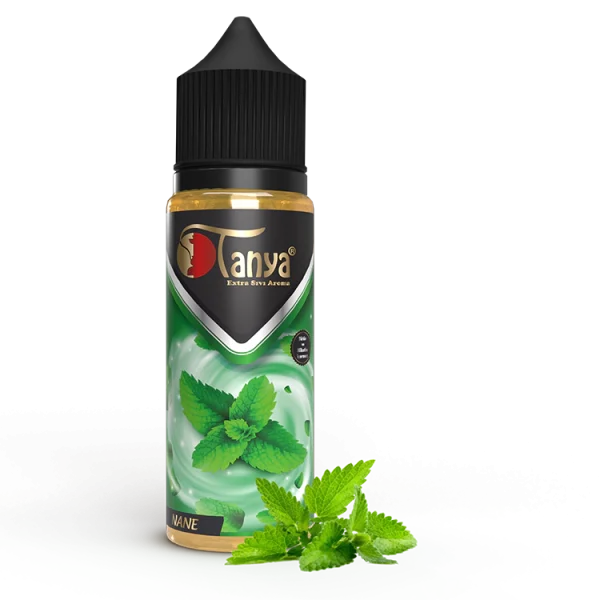 Mint-60ml-Extra-Liquid-Flavor-1.webp